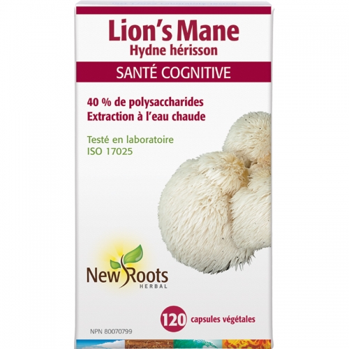 Lion’s Mane (Extrait d’Hydne Hérisson) - New Roots Herbal