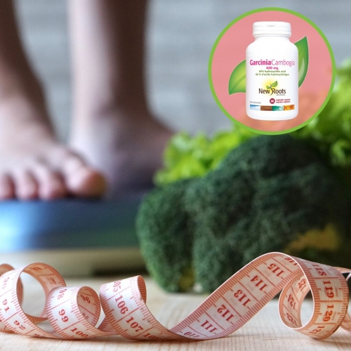 Garcinia Cambogia - New Roots Herbal