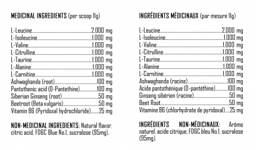 XPN Amino + Recovery