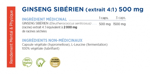 Ginseng sibérien extrait 4:1 500 mg