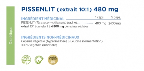 Pissenlit extrait 10:1 480 mg